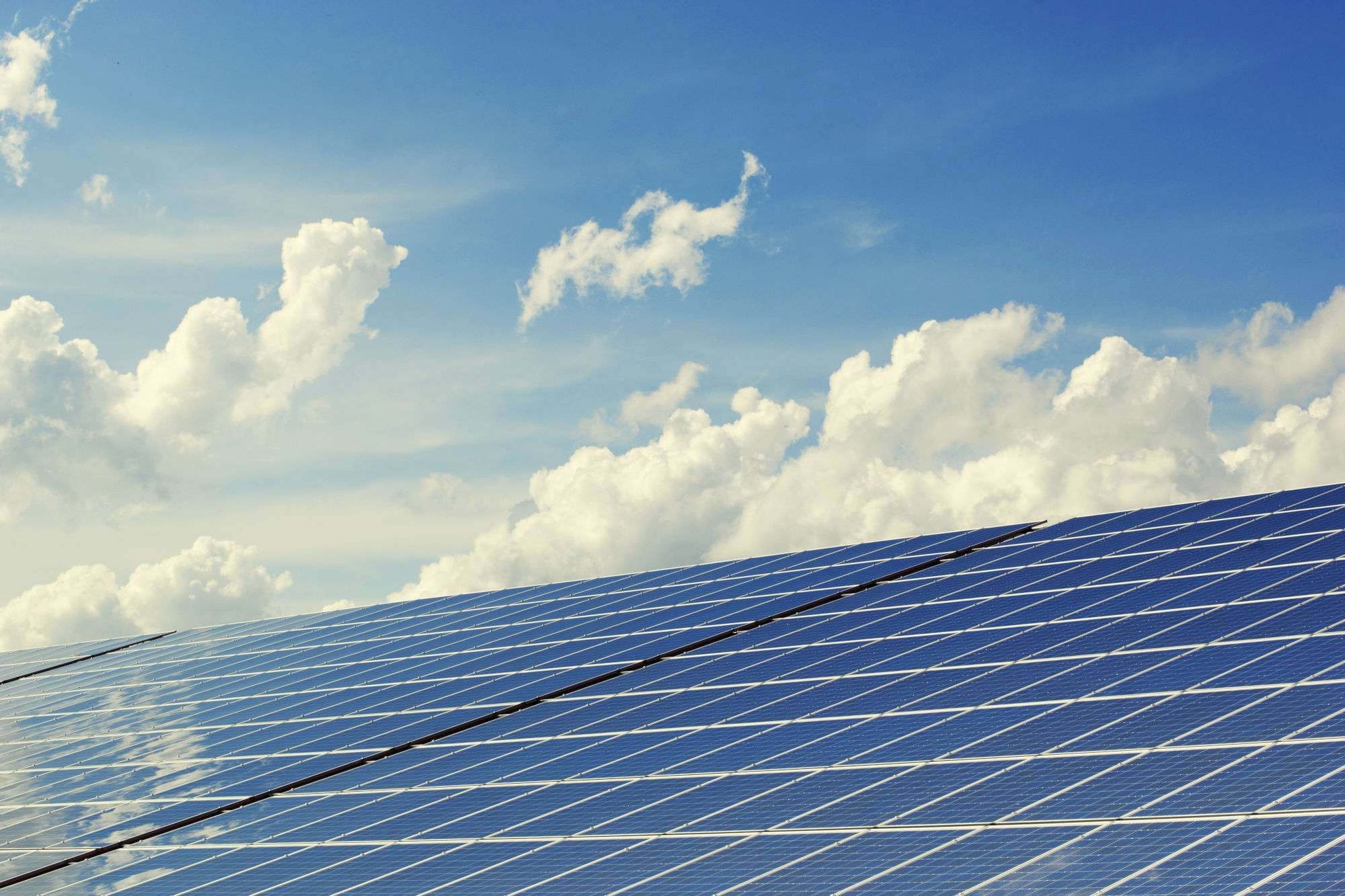 RICHS COACH 企管顧問 客戶案例 太陽能 設備廠 自然流量增長